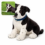 A charming black and white dog lounges comfortably on a vibrant green lawn, glancing back with a curious and slightly puzzled expression as if caught mid-daydream during a sunny afternoon.