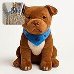 A serious-looking brown dog with a white chest sits patiently on a wooden floor, partially wrapped in a blue blanket adorned with cartoon characters. The scene is indoors with a simple, lived-in kitchen and hallway background, featuring a few scattered objects on the floor.