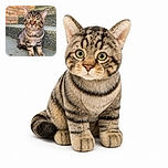 A handsome tabby cat sits proudly on a concrete step, staring into the camera with enormous green eyes as if it has just been elected mayor of the brick staircase. Its whiskers fan out dramatically, while the mossy steps and warm brick wall create a charming outdoor portrait.