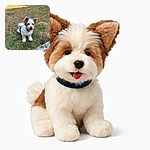 A fluffy, happy little dog with large ears and a playful tongue out sits on a patchy grassy lawn near a concrete edge, basking in the sunlight with a couple of white chairs blurred in the background.