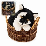 A black-and-white cat is curled up in a woven basket, staring with the intense golden-eyed judgment of a tiny furry supervisor. The picture appears to be a photographed print or screen, complete with soft focus and a dramatic glare in the corner.