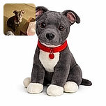 A curious young dog with a red collar sits attentively on a beige carpet in a dimly lit room, looking up with soulful eyes. The scene includes a wooden table with a white plastic bag on it and a piece of clothing or fabric in the foreground, suggesting a cozy, lived-in space.