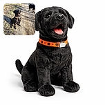 Two black dogs enjoying a sunny walk on a gravel path, one sitting attentively with an open mouth as if mid-bark or pant, the other standing and looking away, surrounded by dried leaves and grass with long shadows cast by the late afternoon sun.