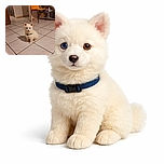 A fluffy white puppy with striking blue eyes sits on a tiled floor indoors, looking curiously at the camera. Behind it, there's an orange chair and a cluttered desk, giving a cozy home vibe.