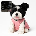 A tiny black and white puppy wearing a pink sweater sits happily on the pavement next to the shiny chrome bumper and wheel of a classic black car, tongue out and ready for a joyride or maybe just some belly rubs.
