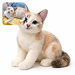 A wide‑eyed, blue‑peered cat lounges like it owns the furniture — head cocked toward the camera, whiskers forward, and fur fluffed into peak adorableness while a blue sheet and a yellow surface provide the perfect lazy throne.