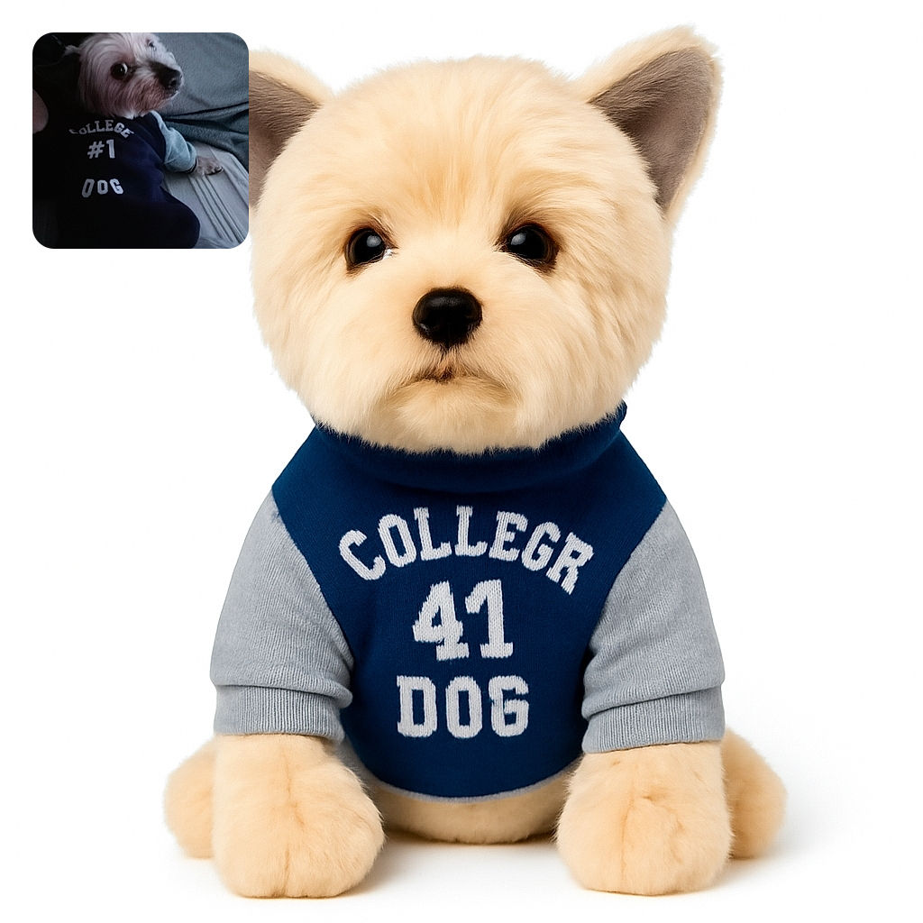 A slightly blurry but adorable dog wearing a navy and gray sweater that says 'COLLEGE #1 DOG' lounges comfortably on a couch with a curious look, making it clear who the top dog really is.