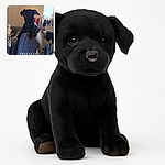 A small black dog perched confidently on the back of a couch, squinting as if judging the photographer. The room is cozy with a drying rack full of clothes near a bright window, and the photo has playful text overlays indicating the day and some code, adding a casual snapshot vibe.