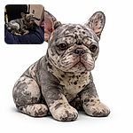 A grumpy merle French bulldog sprawled on a navy blanket in a chair, giving the camera a world-weary side-eye — all wrinkles, folded paws and unimpressed charm.