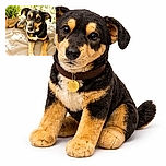 A charming dog lounges comfortably on a textured blanket in a sunlit garden setting, with curious eyes and a shiny tag adding to its lovable personality.
