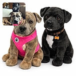 Two dogs chilling on a cozy couch, one sporting a bright pink harness looking directly at the camera with wide eyes, while the other black dog sits behind, gazing off thoughtfully. The warm wood-paneled room adds a nostalgic vibe to this candid canine moment.