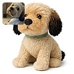 A close-up shot of a fluffy dog with a curious expression, its soft fur and soulful eyes taking center stage against a softly blurred background.
