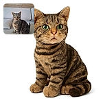 A curious tabby cat with striking green eyes sits attentively on a light gray couch, its whiskers standing out against the soft fabric backdrop. The cozy indoor setting with wooden beams adds a warm, rustic charm.
