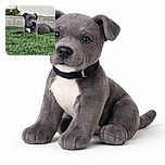 A charming gray puppy lounges on lush green grass, gazing thoughtfully to the side with a calm expression. The background features a textured concrete wall and some greenery, giving a peaceful backyard vibe.