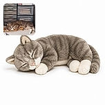 A sleepy tabby cat has completely claimed a pair of sandals as its personal luxury mattress, snoozing beneath the storage drawers like a tiny furry office supervisor on break.