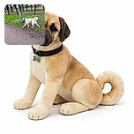 A light-colored dog with a curled tail is caught mid-step on a walk, glancing back with curiosity. The scene is set in a park with bare trees and patches of green grass, under a bright blue sky with scattered clouds.