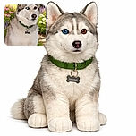 A majestic husky with striking heterochromia eyes, one icy blue and one warm brown, sitting proudly in a vibrant garden full of colorful flowers, wearing a green collar with a bone-shaped tag.