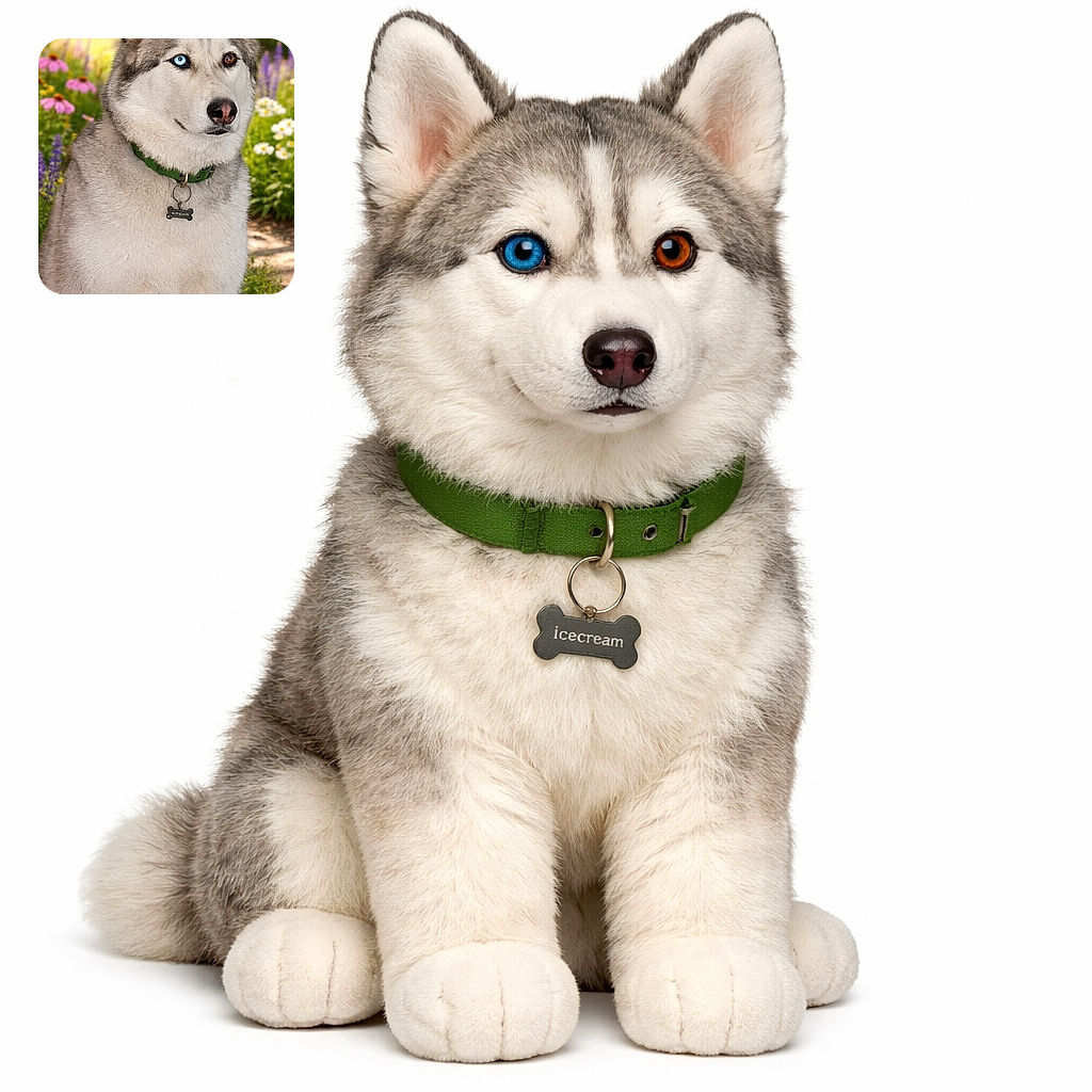 A majestic husky with striking heterochromia eyes, one icy blue and one warm brown, sitting proudly in a vibrant garden full of colorful flowers, wearing a green collar with a bone-shaped tag.