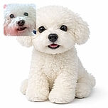 A close-up photo of a fluffy white dog with curly fur looking directly at the camera. The dog's dark eyes and nose create a cute contrast with its white fur. The background is softly blurred, making the dog the clear focal point. The name 'Peluchi' is elegantly written in cursive at the bottom of the image.