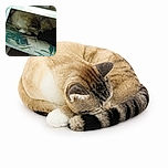 A sleepy cat is folded into a remarkably compact cinnamon-roll shape on a patterned chair, apparently determined to nap through the furniture inspection while a sweater keeps watch nearby.
