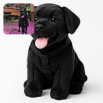 A happy black dog with its tongue out stands proudly on a vibrant carpet of pink flower petals, framed by blossoming branches overhead and a cozy suburban backdrop.