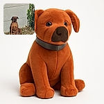 A sturdy brown dog sits calmly in the sun against a plain concrete wall, eyes closed as if meditating or soaking up some serious rays, surrounded by dry grass and a touch of green ivy climbing nearby.
