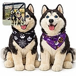 Two happy huskies sporting festive Halloween bandanas pose in front of a chain-link fence decorated with colorful locks during a picturesque sunset by the water. Their joyful expressions and the warm glow of the setting sun make this a heartwarming and festive outdoor moment.