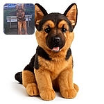 A friendly German Shepherd dog is standing on its hind legs with its front paws on a window sill, looking inside with a happy expression and tongue slightly out. The background shows a garden bench, some grass, and houses under a clear sky, with a faint reflection on the glass adding a cozy, candid feel.