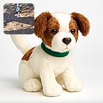A small dog with white and brown fur looks up with a curious expression, standing on a rocky dirt ground with shadows cast around. The green leash adds a pop of color and hints at an outdoor walk adventure.