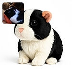 A close-up photo of a black and white guinea pig nibbling on a large orange carrot, with a soft background of a brown blanket and some indistinct shapes. The image is slightly blurry and dimly lit, giving it a cozy but unpolished feel.