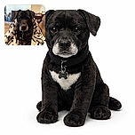 A cozy black dog wrapped in a white blanket with black paw and bone prints, sitting comfortably on a couch with a homey background featuring a fireplace and shelves. The dog looks calm and slightly curious, as if enjoying a lazy day indoors.