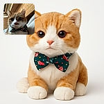 A charming orange and white cat wearing a festive candy cane patterned bow tie, being held gently indoors with wooden walls and soft lighting, giving off a cozy holiday vibe.