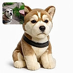 A stoic dog with soulful eyes wearing a harness stands on a concrete path near some grass and rustic wooden posts, looking like it's pondering the meaning of life or just waiting for a treat.