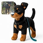 A sleek black and tan dog stands alert on a rocky, grassy patch outdoors, wearing a harness and leash, with a curious and attentive expression as if ready for an adventure.