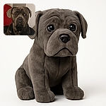 A serious-looking dog, possibly a Cane Corso or similar breed, gazes intently at the camera with soulful eyes. The background features a red cushion and neutral walls, giving a cozy indoor vibe. The photo is slightly soft in focus but captures the dog's expressive face well.