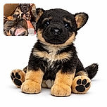 A tiny puppy is being held up by a hand, looking adorably curious with its paws stretched out. The background is a cozy indoor setting with soft textures, and the puppy's shiny fur and pink belly are clearly visible.