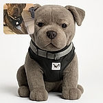 A large, muscular dog with a serious expression lounges on a striped bedspread, wearing a sturdy black harness and collar with a tag. The background is simple, featuring a folded blue cloth or towel on the bed, creating a cozy indoor setting.