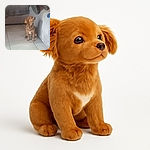 A small brown dog sits attentively on a tiled floor, gazing up at a pair of gloved hands dangling above it, possibly waiting for a treat or a command. The background features a gray couch and a gray wall, with a blue cloth casually draped nearby.