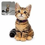 A curious little tabby kitten sits attentively in a bathtub next to a black showerhead, with water droplets decorating the smooth white surface, looking up with wide eyes as if plotting its next mischievous adventure.