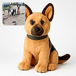Three dogs patiently pose in a slightly blurry outdoor yard setting, surrounded by play equipment and toys scattered on the dusty ground.