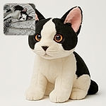 A cute black and white cat lounges lazily on a patterned bedspread, its eyes wide and curious as it gazes toward the camera. The cozy bedroom setting includes a wooden bed frame and a chair in the background, creating a relaxed and homey atmosphere.