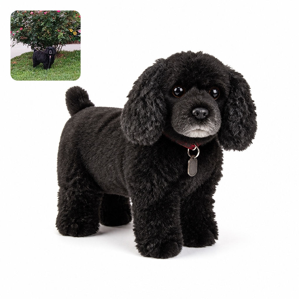 A fluffy black dog stands proudly on the lawn, looking like a tiny shaggy security guard supervising a spectacular wall of blooming roses. Its leash trails forward as if the pup is ready to lead a garden tour, while the camera watermark and date quietly document the important event.