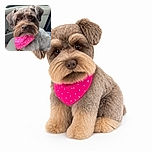 A scruffy little dog sits in a car wearing a neon-pink polka-dot bandana, staring into the camera like a stern canine detective who has just discovered the treat budget is missing.