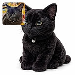 A close-up shot of a sleek black cat with shiny fur and striking green eyes, lounging comfortably on a colorful floral blanket. The cat wears a small bell collar, adding a charming touch to its relaxed pose. The background is softly blurred, highlighting the cat's calm and contemplative expression.