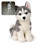 A fluffy husky puppy sitting on a tiled floor looking up with one ear perked and the other flopped, giving an irresistibly cute and curious expression.