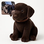 A soulful chocolate labrador lounges on a cozy brown couch, resting its head on its paws with a look that says, 'Are you gonna pet me or what?' The background shows a soft, folded blanket adding to the snug vibe.