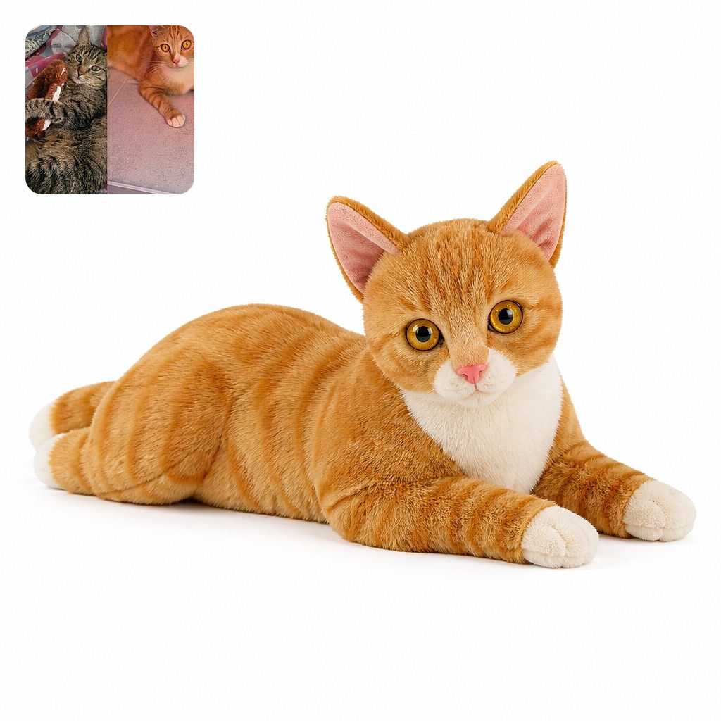 Two charming cats pose in a split-screen-style photo: a fluffy tabby wrestles a plush toy on a colorful quilt while an orange-and-white cat gazes at the camera like a tiny apartment landlord inspecting the premises.
