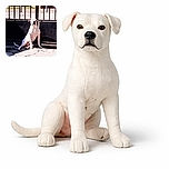 A white dog is sitting in a sunny spot on a cracked pavement in front of a black metal fence, basking in the sunlight with a calm and stoic expression.