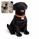 Two black dogs on a sunny dirt path, one sitting attentively with an open mouth as if mid-bark or mid-sentence, and the other standing with a colorful collar looking away. The shadows of tree branches stretch across the path, adding texture to the scene.