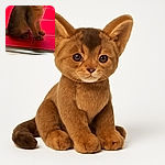 A curious kitten with big, expressive eyes sits attentively on bright red tiled floor, giving off an innocent yet inquisitive vibe as if plotting its next playful adventure.